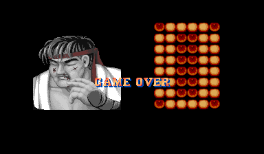 street_fighter_ii_-_the_world_warrior_-_gameover.png