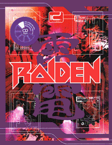 raiden_-_flyer_2_.png