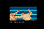archivio_dvg_07:street_fighter_2_hf_-_finale_-_106.png
