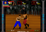 dicembre09:pit_fighter_0000_hitf12.png