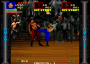 dicembre09:pit_fighter_0000_psc.png