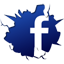 wiki:icon_facebook.png
