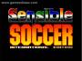 en:sensible_soccer-_international_edition_-_1995_-_telegames_inc_.jpg
