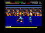maggio11:final-fight-amstrad-cpc-screenshot-in-the-rings.png