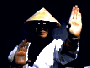 archivio_dvg_08:mk_-_raiden.gif