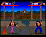 archivio_dvg_08:shadow_fighter_-_comparazione_-_05.png