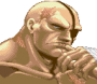 archivio_dvg_07:ssf2_-_ritratto_-_sagat.png