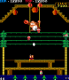 archivio_dvg_01:donkey_kong_3_-_06.png