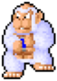 archivio_dvg_02:wbml_nemico_boss_kong_neve.png