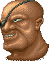 archivio_dvg_07:sf_-_sagat1.gif