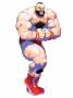 archivio_dvg_07:ssf2_-_art_-_zangief.jpg