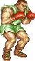 archivio_dvg_07:ssf2t_-_palette_-_mbison-balrog_-_04.gif