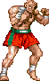 archivio_dvg_07:ssf2t_-_palette_-_sagat_-_02.gif