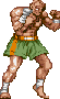 archivio_dvg_07:ssf2t_-_palette_-_sagat_-_05.gif