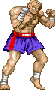 archivio_dvg_07:ssf2t_-_palette_-_sagat_-_09.gif