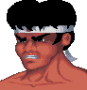 archivio_dvg_08:shadow_fighter_-_lee_chen_-_ritratto2.png